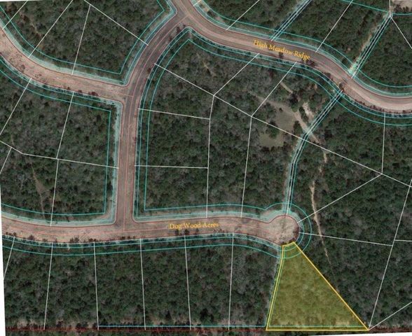 7705 Dog Wood Acres Drive, Montgomery, TX 77316