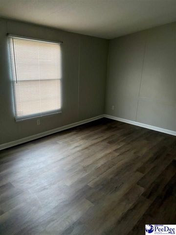 1729 karudy, Effingham, SC 29541