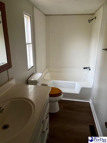 1729 karudy, Effingham, SC 29541