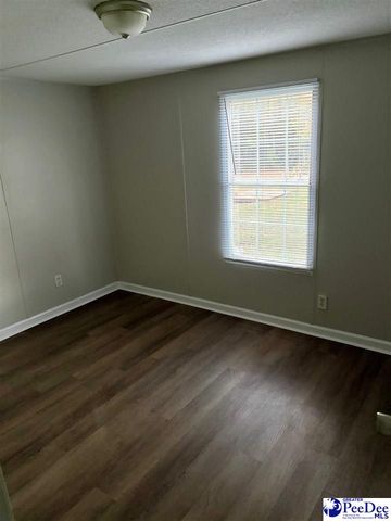 1729 karudy, Effingham, SC 29541