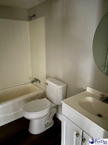 1729 karudy, Effingham, SC 29541