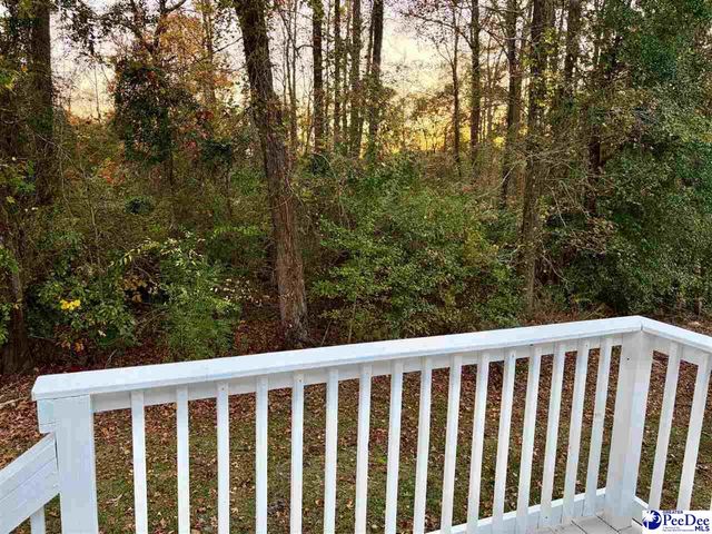 1729 karudy, Effingham, SC 29541