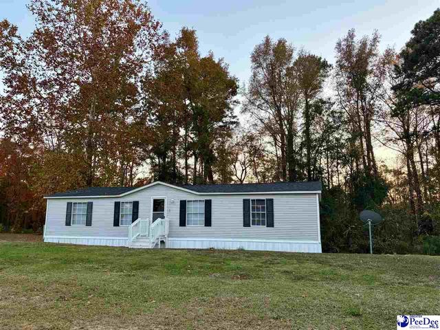 1729 karudy, Effingham, SC 29541