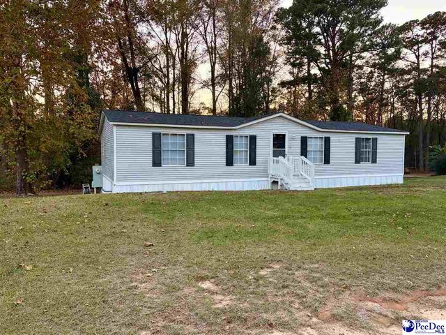 1729 karudy, Effingham, SC 29541