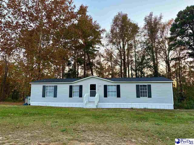 1729 karudy, Effingham, SC 29541