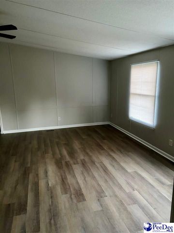 1729 karudy, Effingham, SC 29541