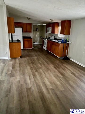 1729 karudy, Effingham, SC 29541