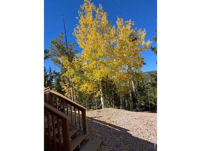 44 Natchez Cir, Red Feather Lakes, CO 80545