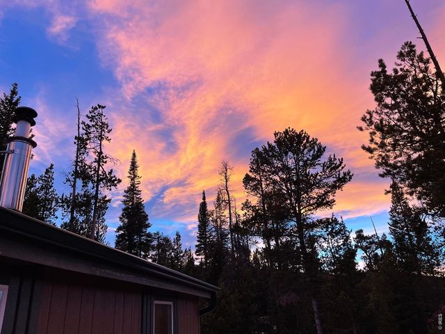 44 Natchez Cir, Red Feather Lakes, CO 80545