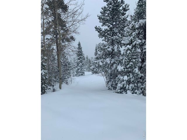 44 Natchez Cir, Red Feather Lakes, CO 80545