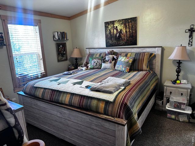 44 Natchez Cir, Red Feather Lakes, CO 80545