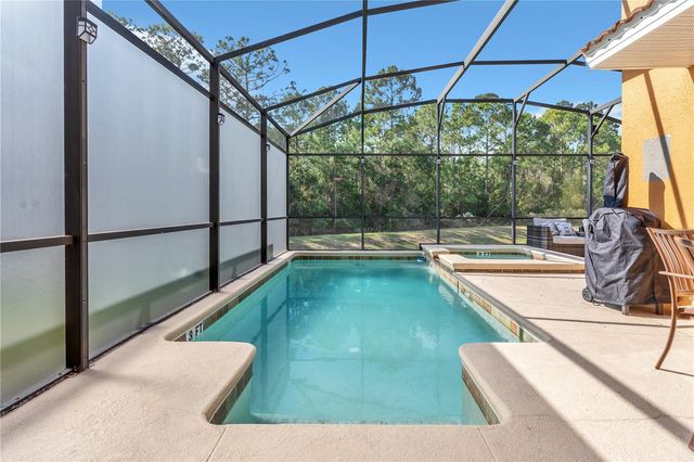 2908 BANANA PALM DRIVE, Kissimmee, FL 34747
