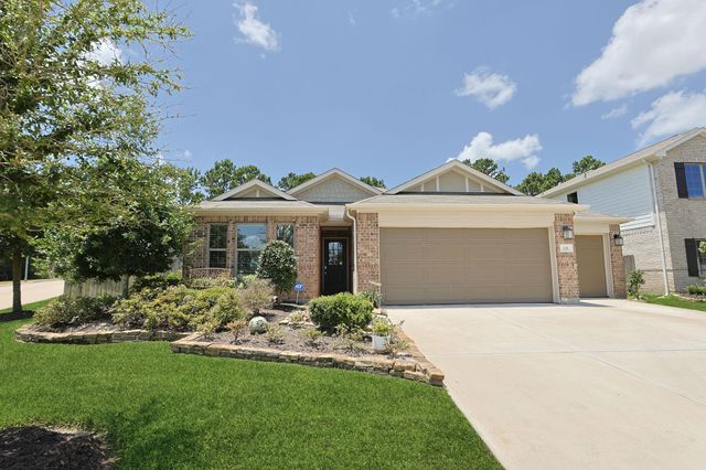 119 Rogerdale River Drive, Magnolia, TX 77354