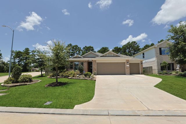 119 Rogerdale River Drive, Magnolia, TX 77354