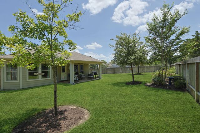 119 Rogerdale River Drive, Magnolia, TX 77354