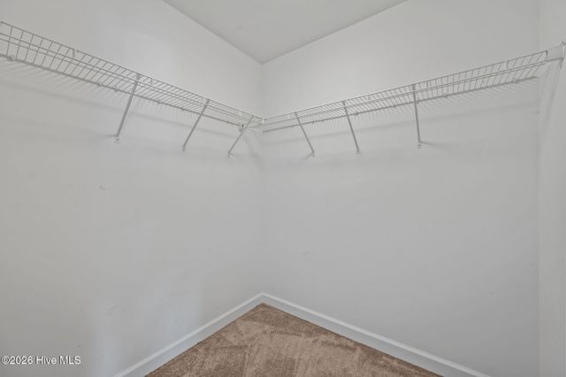 219 Peggys Trace, Sneads Ferry, NC 28460