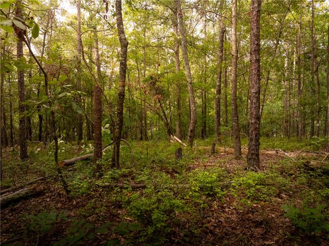 415 Silver Creek Road, Central, SC 29630