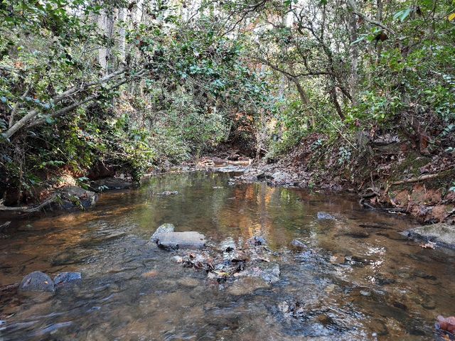 415 Silver Creek Road, Central, SC 29630