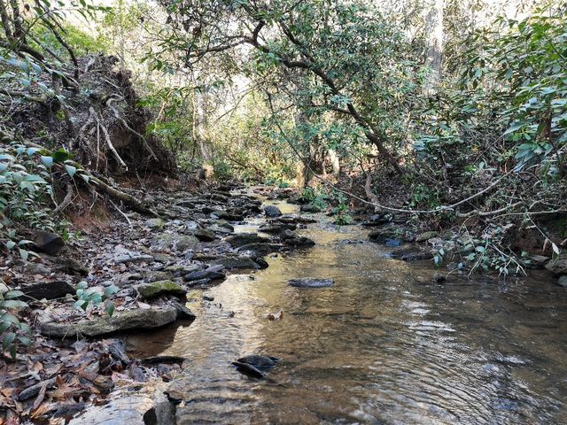 415 Silver Creek Road, Central, SC 29630