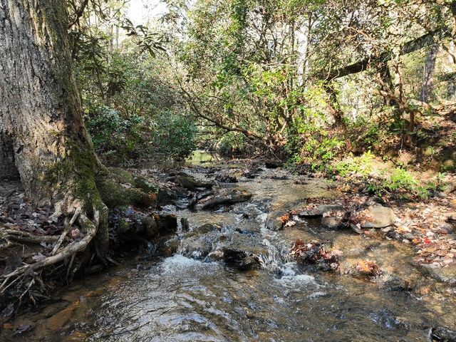 415 Silver Creek Road, Central, SC 29630