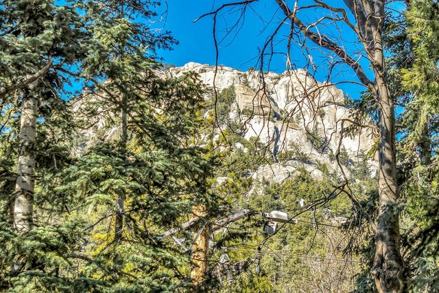 24700 Forest Drive, Idyllwild, CA 92549