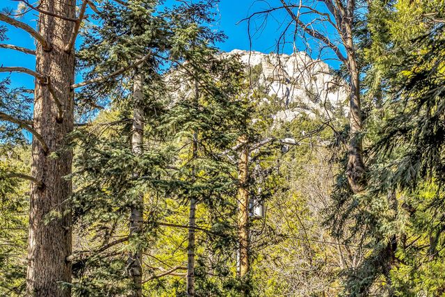 24700 Forest Drive, Idyllwild, CA 92549