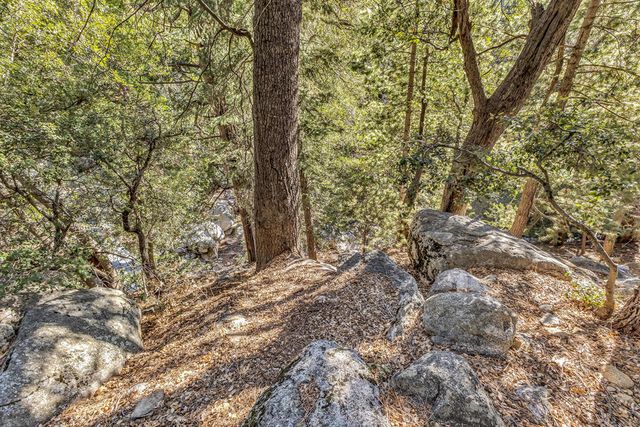 24700 Forest Drive, Idyllwild, CA 92549