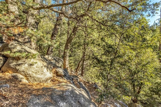 24700 Forest Drive, Idyllwild, CA 92549