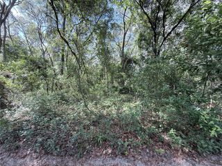 TBD SW 150TH STREET, Dunnellon, FL 34432