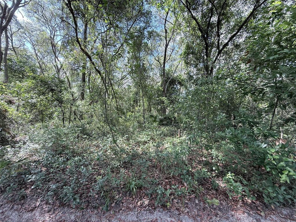 TBD SW 150TH STREET, Dunnellon, FL 34432