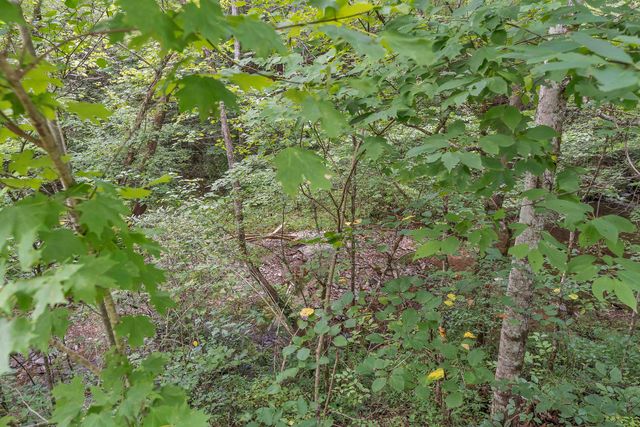 521 Archville Road, Reliance, TN 37369