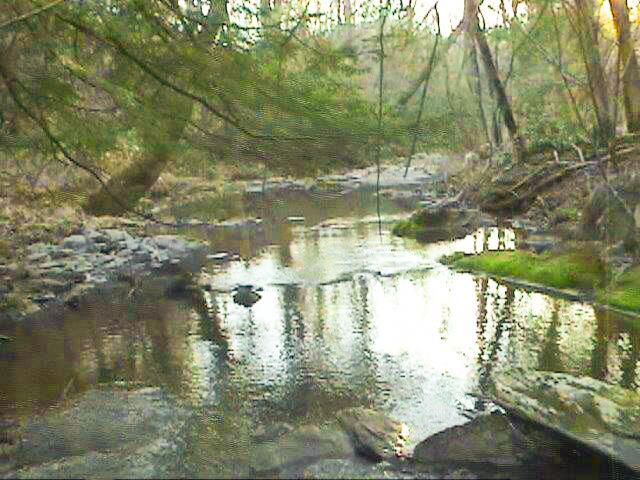 521 Archville Road, Reliance, TN 37369