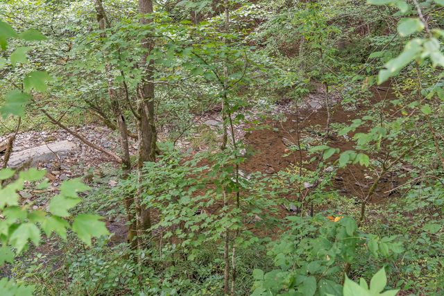 521 Archville Road, Reliance, TN 37369