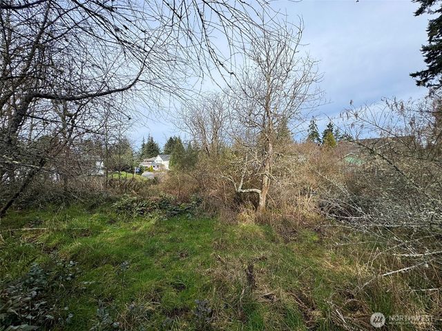 9999 W 8th Street, Port Angeles, WA 98363