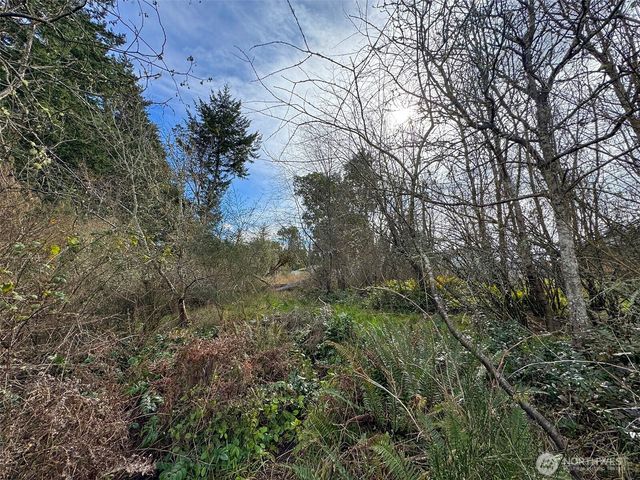 9999 W 8th Street, Port Angeles, WA 98363