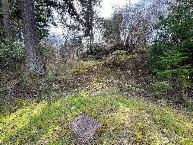 9999 W 8th Street, Port Angeles, WA 98363