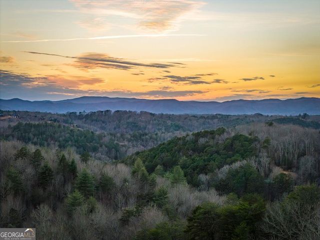 196 S Williamstown Ridge, Mineral Bluff, GA 30559