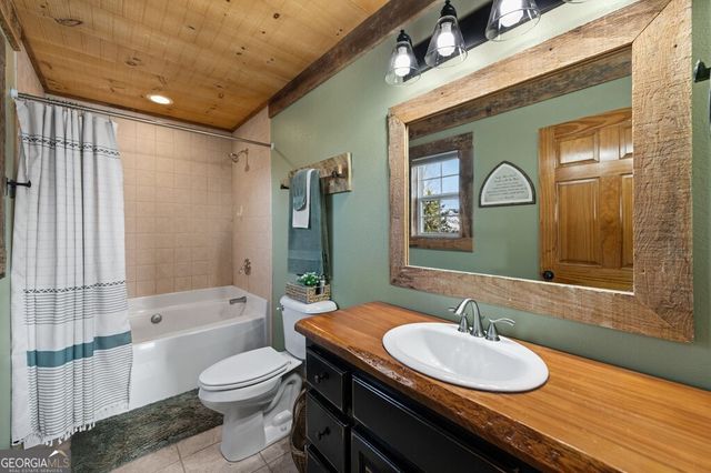 196 S Williamstown Ridge, Mineral Bluff, GA 30559