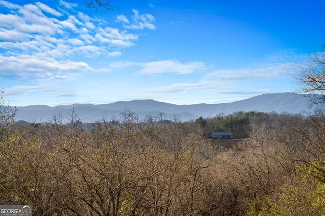 196 S Williamstown Ridge, Mineral Bluff, GA 30559