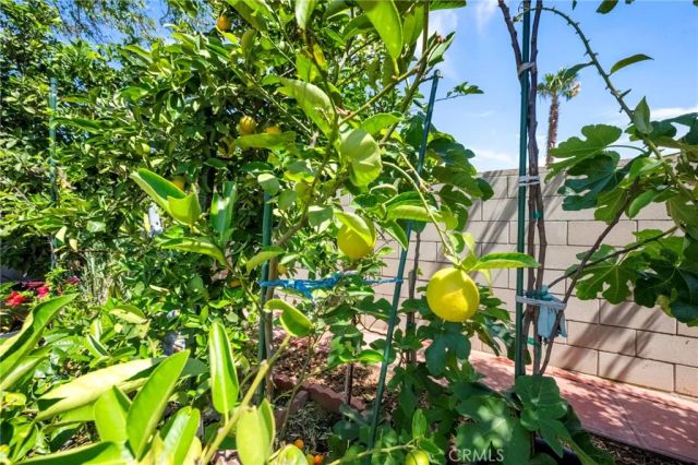 15070 Spring, Fontana, CA 92335