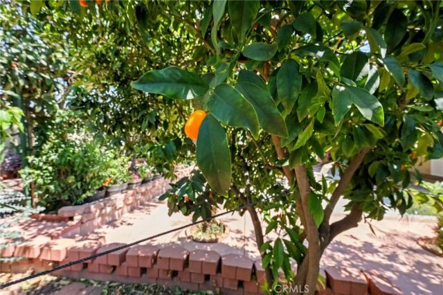 15070 Spring, Fontana, CA 92335