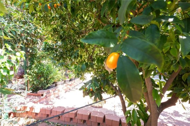 15070 Spring, Fontana, CA 92335