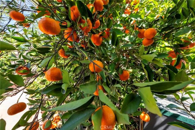 15070 Spring, Fontana, CA 92335