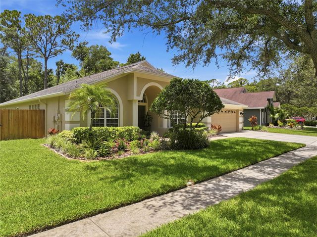 10522 CHAMBERS DRIVE, Tampa, FL 33626