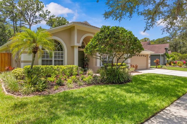 10522 CHAMBERS DRIVE, Tampa, FL 33626