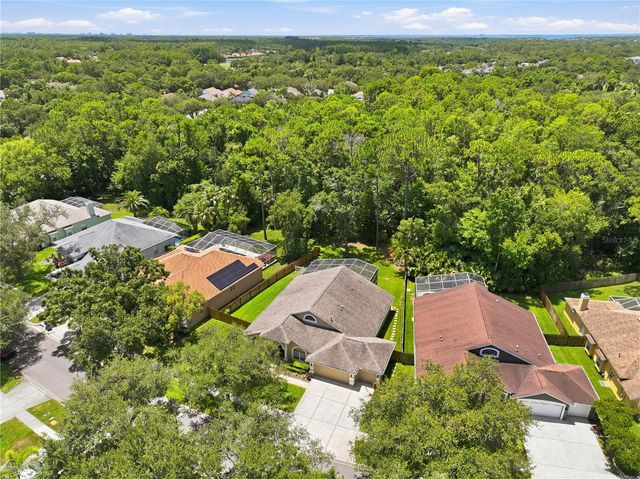 10522 CHAMBERS DRIVE, Tampa, FL 33626