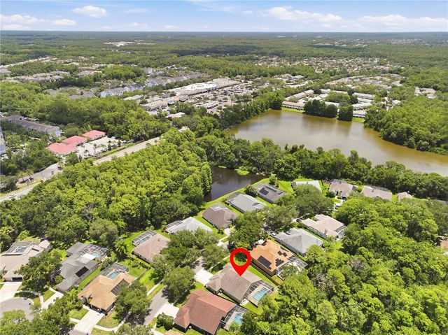 10522 CHAMBERS DRIVE, Tampa, FL 33626