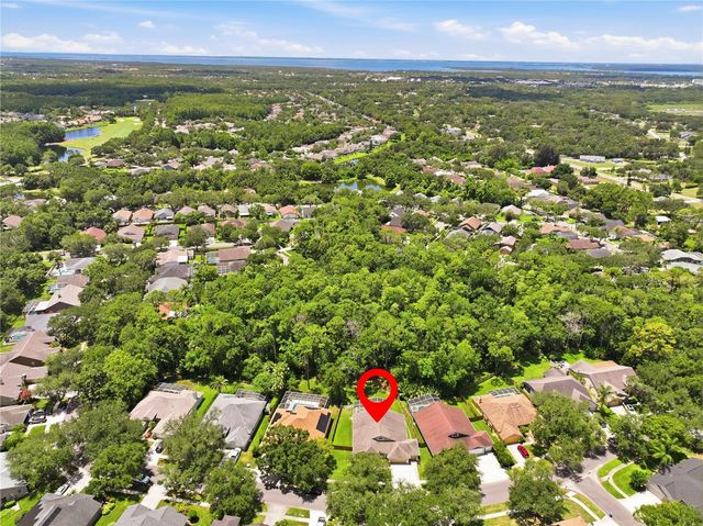 10522 CHAMBERS DRIVE, Tampa, FL 33626