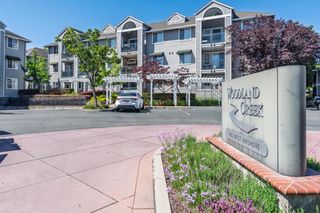 1982 W Bayshore Road 219, East Palo Alto, CA 94303