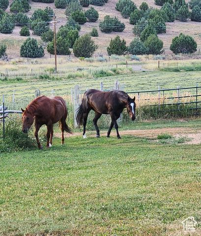 1665 E 1200 N, Mt Pleasant, UT 84647